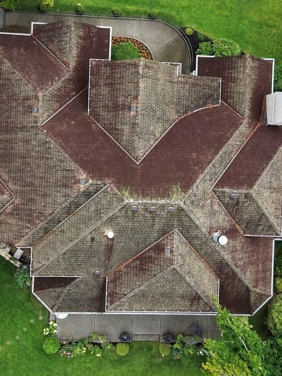 Overhead view of a failing cedar shake roof on Eagle Mountain, darkened by moss with vegetation growing in the valleys